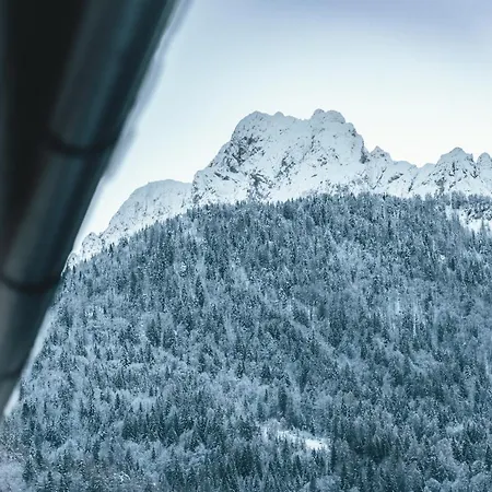 Podlipnik * Kranjska Gora