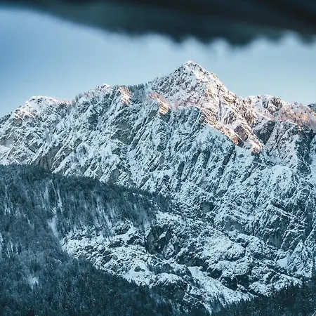 Apartamento Podlipnik *