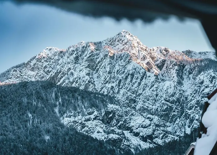 아파트 Podlipnik *